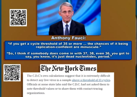 450_e81df339d339bfdaa8b56cdc4feb448a.png